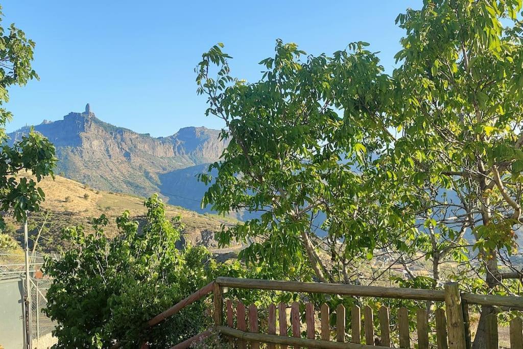 La Cabanita Apartment Las Palmas de Gran Canaria Ngoại thất bức ảnh